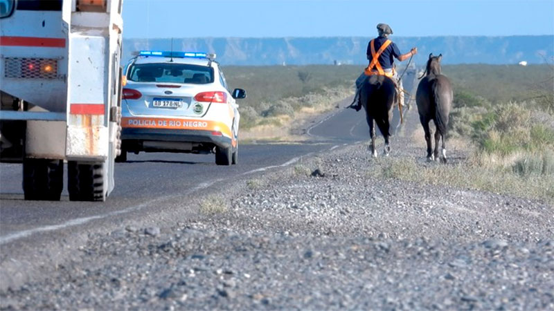 Maestro se jubiló y a caballo regresa de Neuquén a su pueblo natal, Hernández
