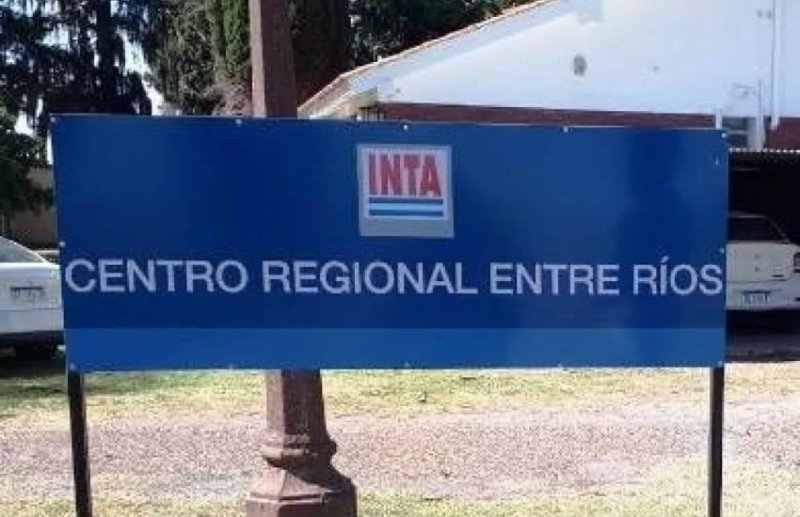 Alertan que el “15% del personal” de INTA Entre Ríos se fue del organismo