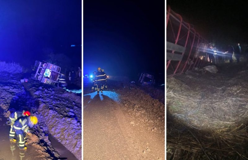 Volcó un camión que transportaba ganado sobre la Ruta Provincial 6, cerca de Guardamonte