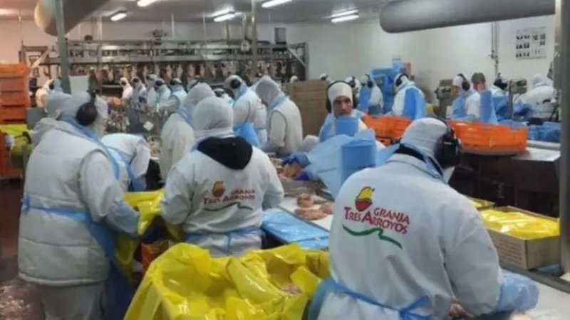 Granja Tres Arroyos confirmó el despido de 255 empleados en su planta de Concepción del Uruguay