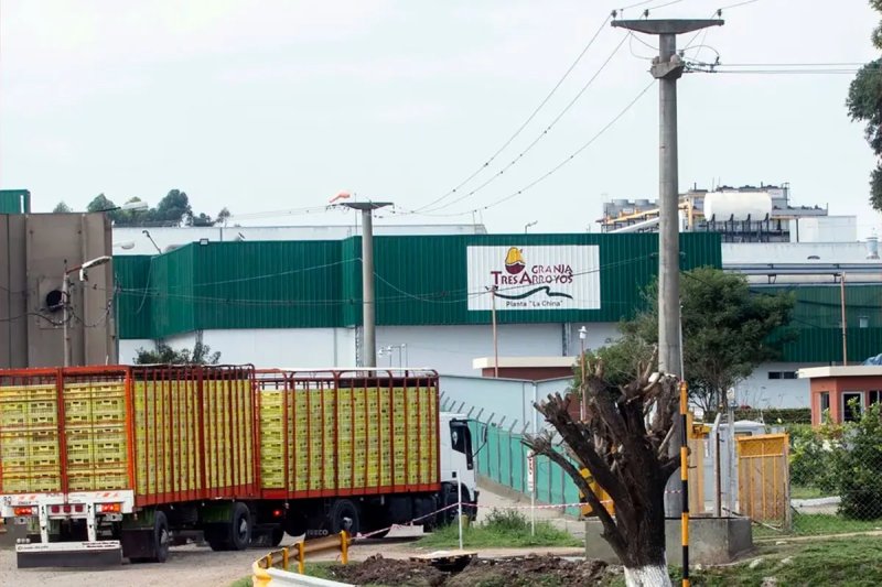 Crisis en Granja Tres Arroyos: sindicato rechaza indemnizaciones al 50% y exige responsabilidad a directivos