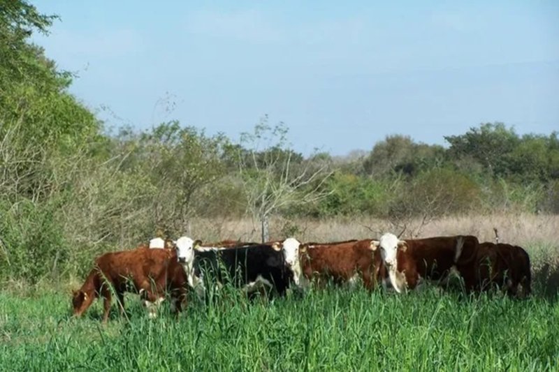 Entre Ríos recuperó 124.000 hectáreas de tierras fiscales y generó nuevos ingresos para la provincia
