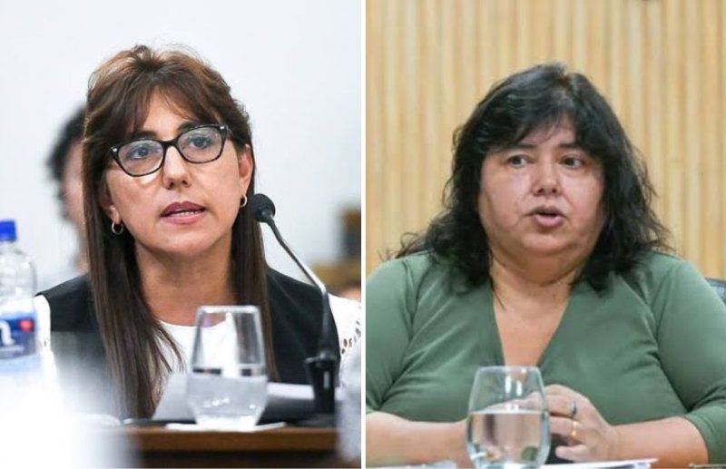 El Consejo Provincial del PJ expulsó a las senadoras provinciales Nancy Miranda y Gladys Domínguez