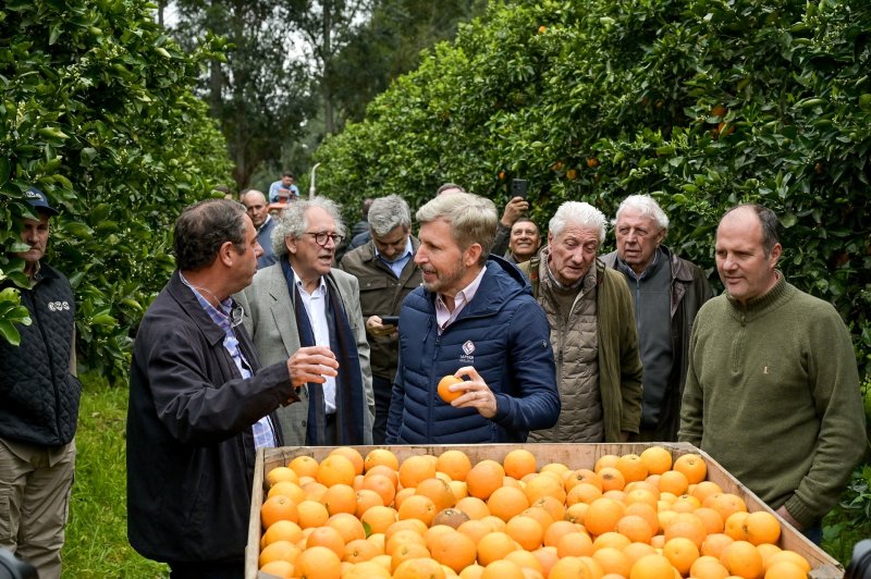 Citricultura: Frigerio analizó con productores las claves para ampliar las exportaciones