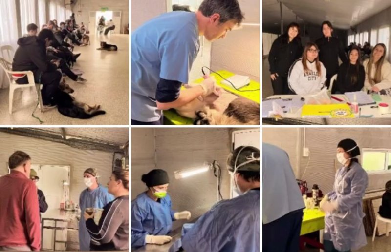 Se realizó una nueva jornada de castración gratuita de mascotas
