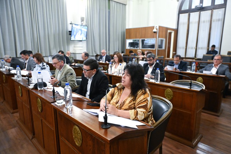 Sin el acompañamiento del PJ, el Senado sancionó la creación de la Comisión de Seguimiento de la Deuda Pública