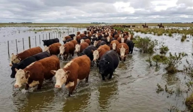 El Niño en Entre Ríos: diputados de la oposición piden declarar la emergencia y contener a productores