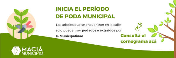 Municipalidad de Maciá